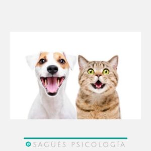 Sagüés Psicología Oviedo Mascotas