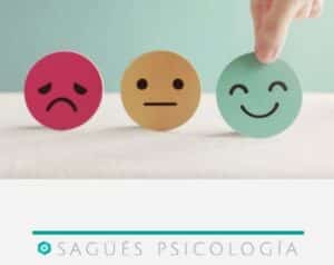 Interior regulación emocional Sagüés Psicología Oviedo