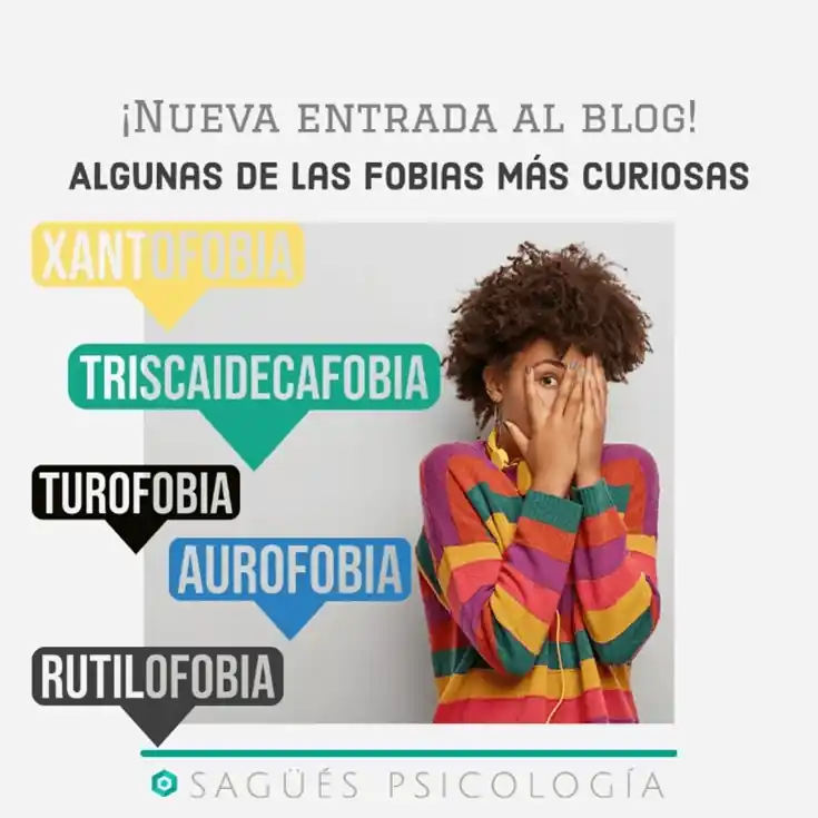 https://saguespsicologia.es//wp-content/uploads/2022/11/Portada-Fobias-Curiosas-Sagues-Psicologia-Oviedo.webp
